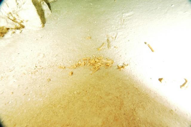 steve gerrard1 (16).jpg